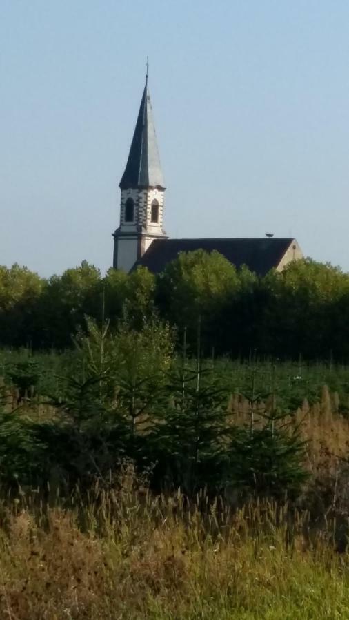 Gite "Le Piemont Des Vosges " Stotzheim 외부 사진